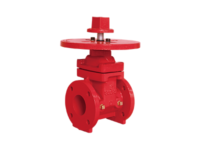 NRS Flanged End Gate Valve